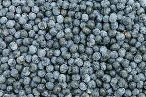 Acai Berries
