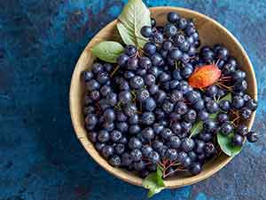 aronia berries
