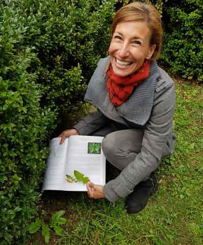 The lost book of herbal remedies