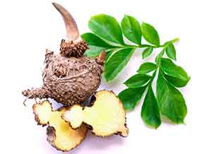 Glucomannan