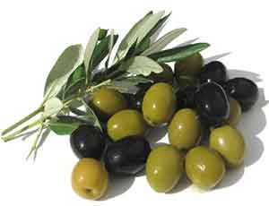 Olive Leaf Extract