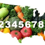 national food policy art 9