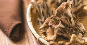 Maitake Mushroom Extract