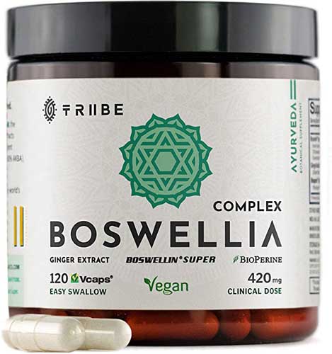 Tribe BoswellIa