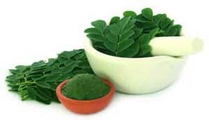 moringa leaf powder