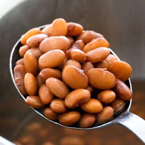 pinto beans