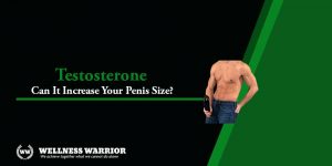 Penis Girth: Advanced Techniques