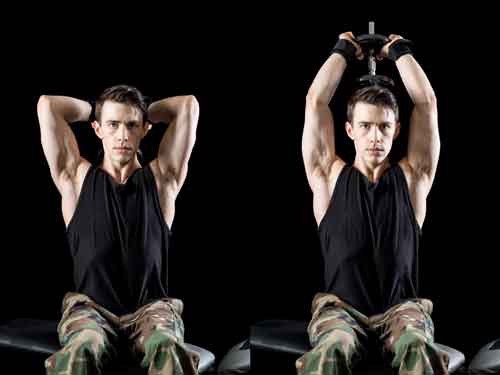 Overhead Tricep Presses