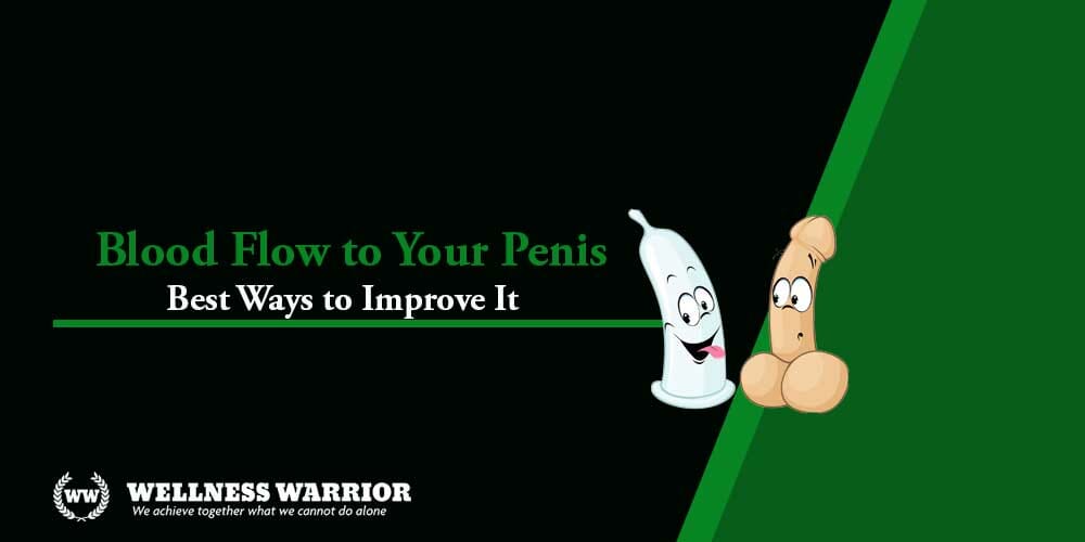 how to increase blood flow to the penis