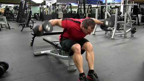 Dumbbell Rear Delt Flye