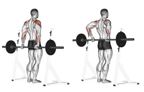 Reverse Barbell Delt Raise