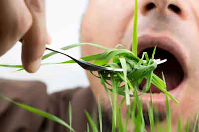 is grass edible