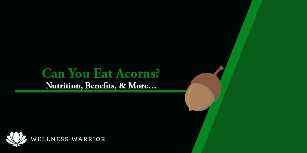 can you eat acorns?