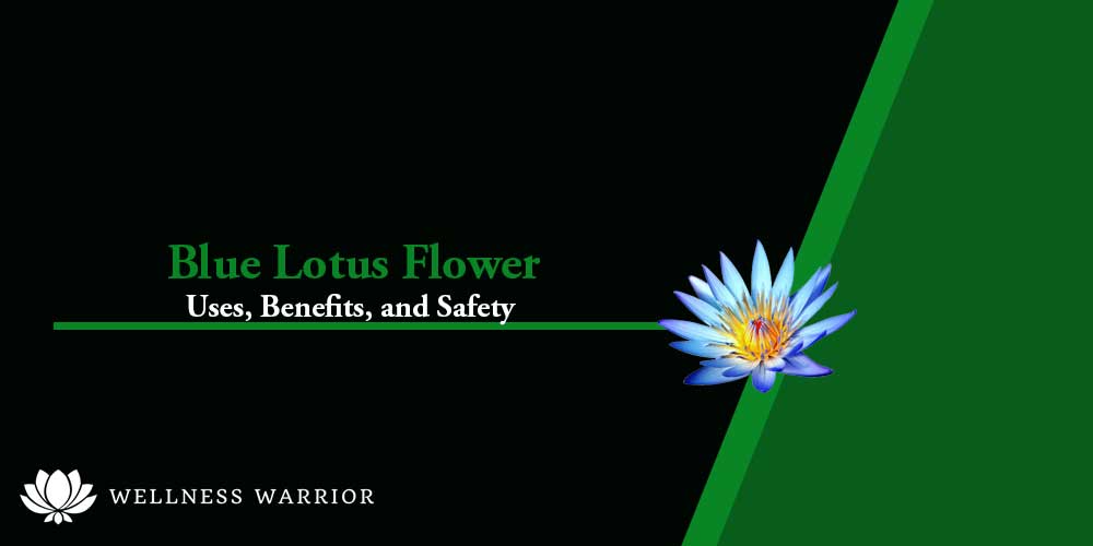 blue lotus flower