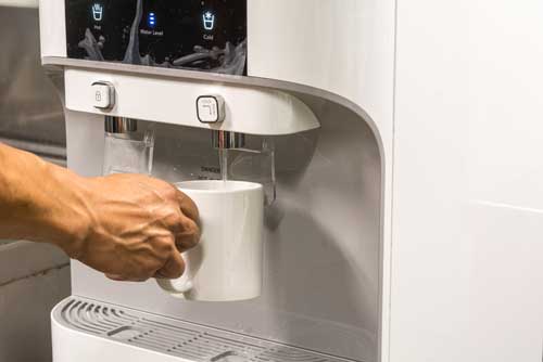 Purified Water