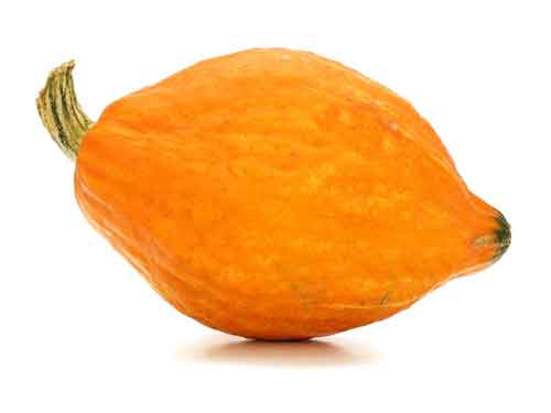 Hubbard Squash