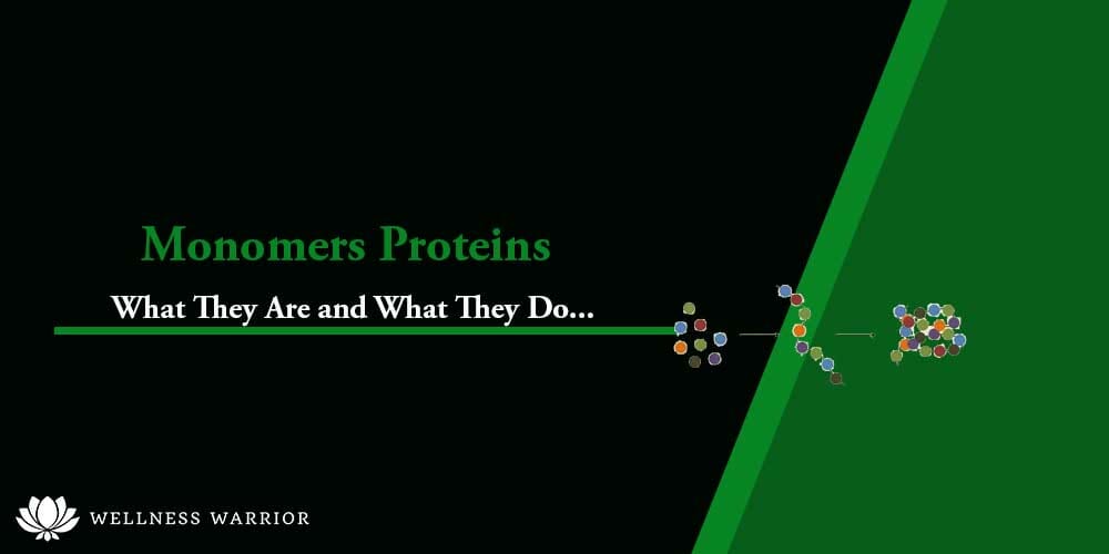 Monomers Proteins