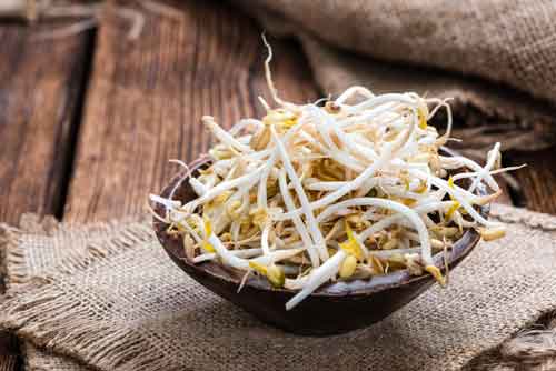 Soybean Sprouts