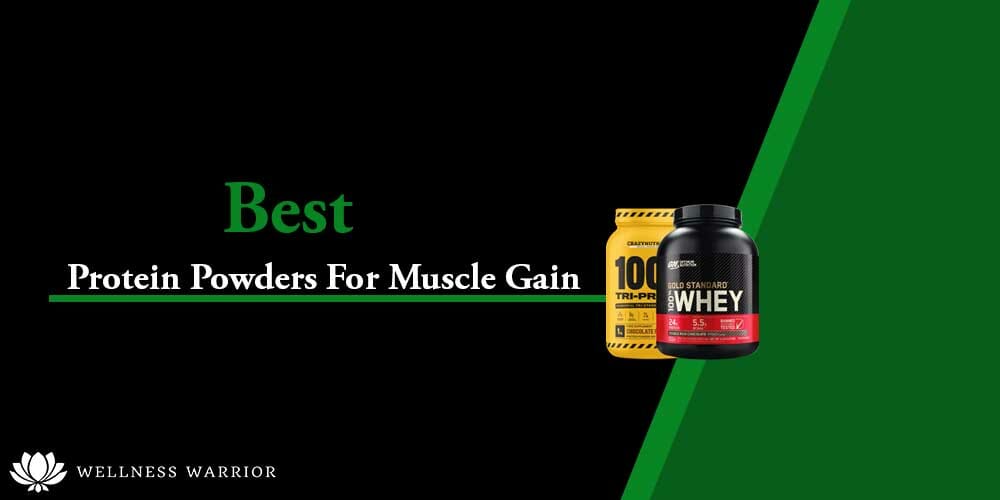 best protein powders for muscle gain