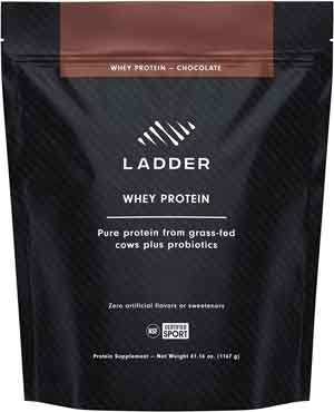 Ladder Whey Protein 