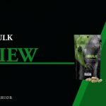 SBULK review