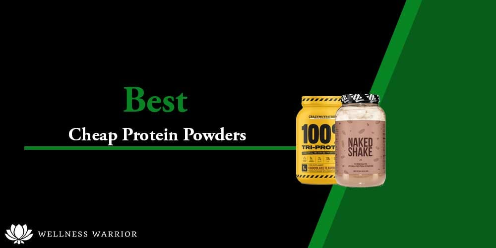 best cheap protein powders