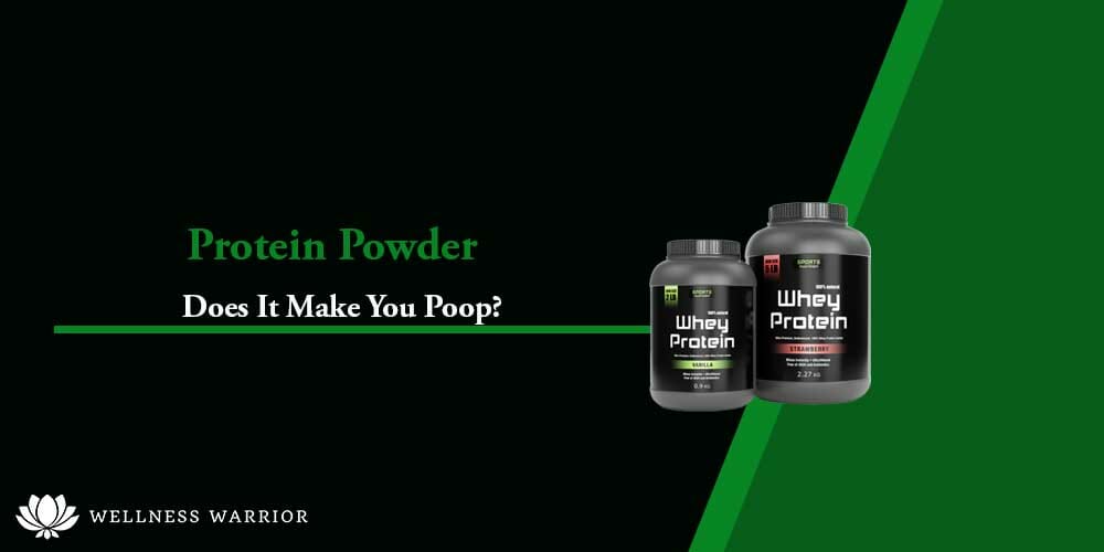 does protein make you poop