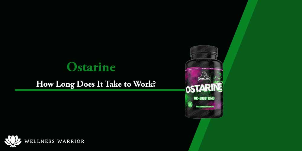 how long does Ostarine take to work