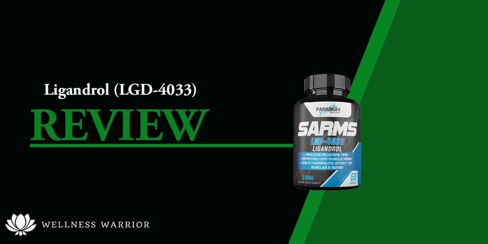 ligandrol review lgd 4033