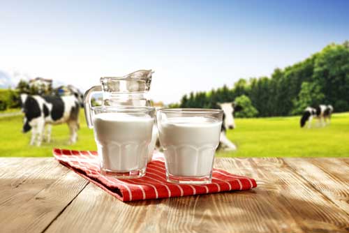 Cow milk