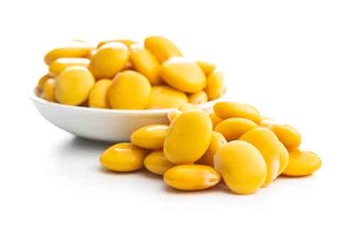 Lupini bean