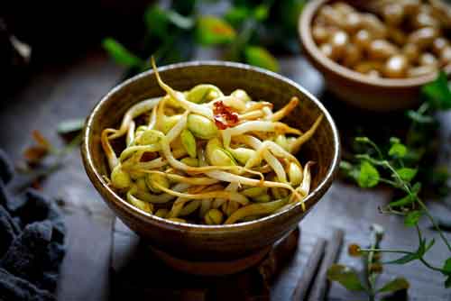 Soybean sprouts