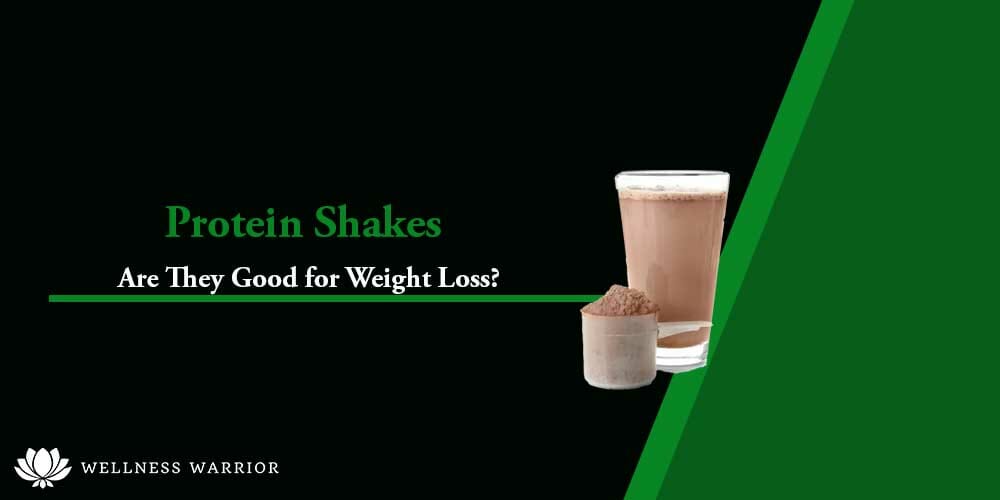 Are protein shakes good for weight loss?