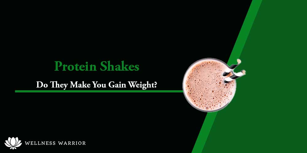 do protein shakes make you fat?