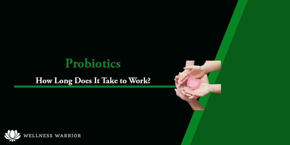 how long does it take probiotics to work