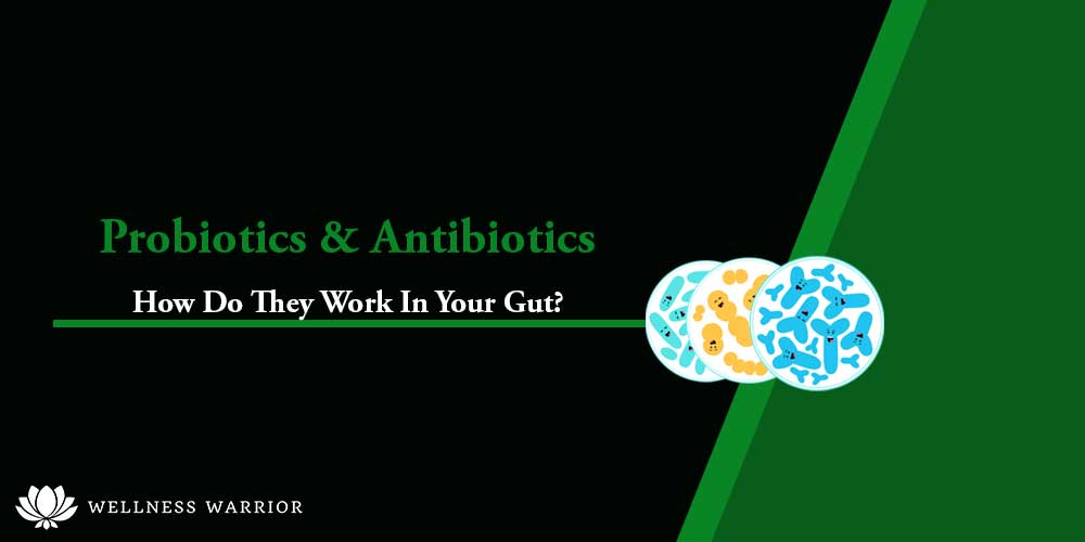 probiotics and antibiotics