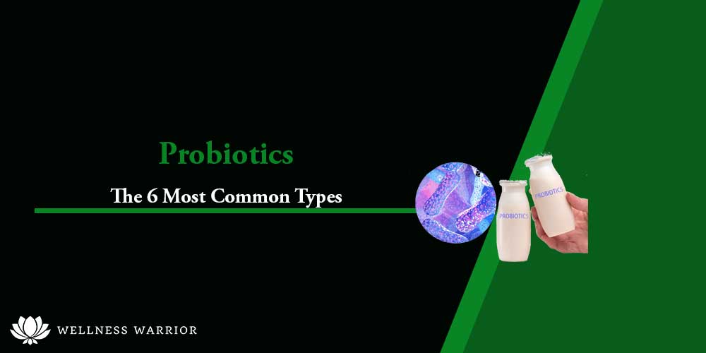 types of probiotics