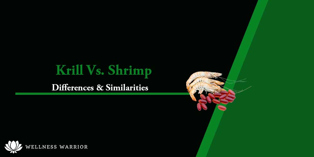 Krill vs Shrimp Difference?
