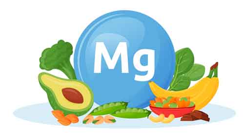 mg food forms