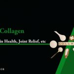 collagen benefits