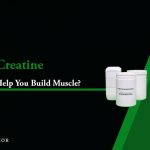 does creatine help build muscle