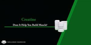 does creatine help build muscle