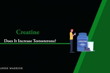 does creatine increase testosterone