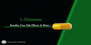 glutamine benefits