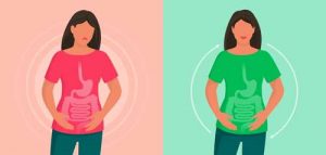 The Connection Between Gut Health and Emotional Wellbeing