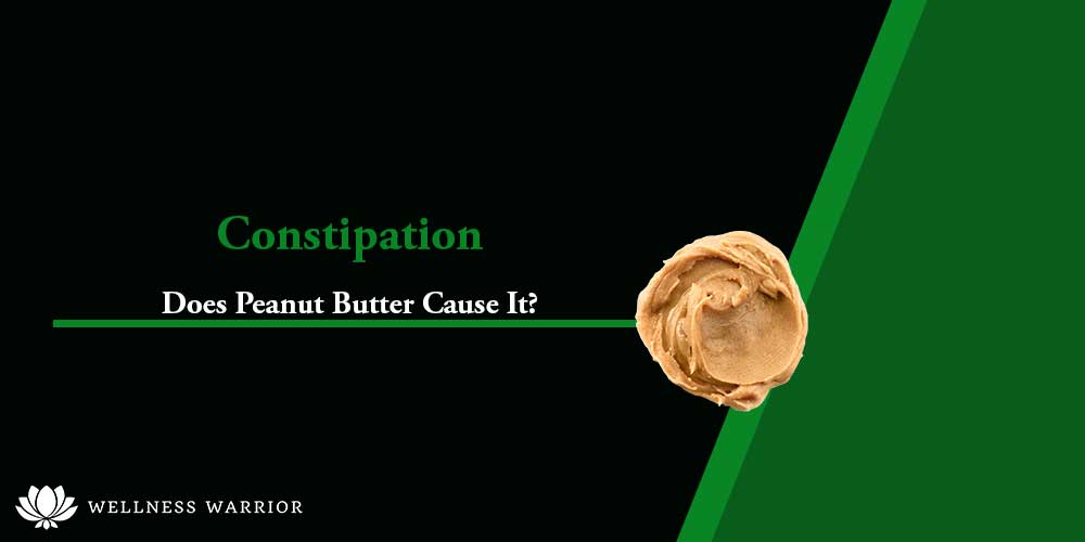 Wellness Warrior Your Guide to a Healthier, More Sustainable Life