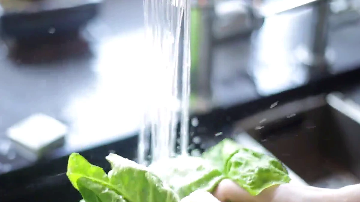Romaine lettuce washed under running water