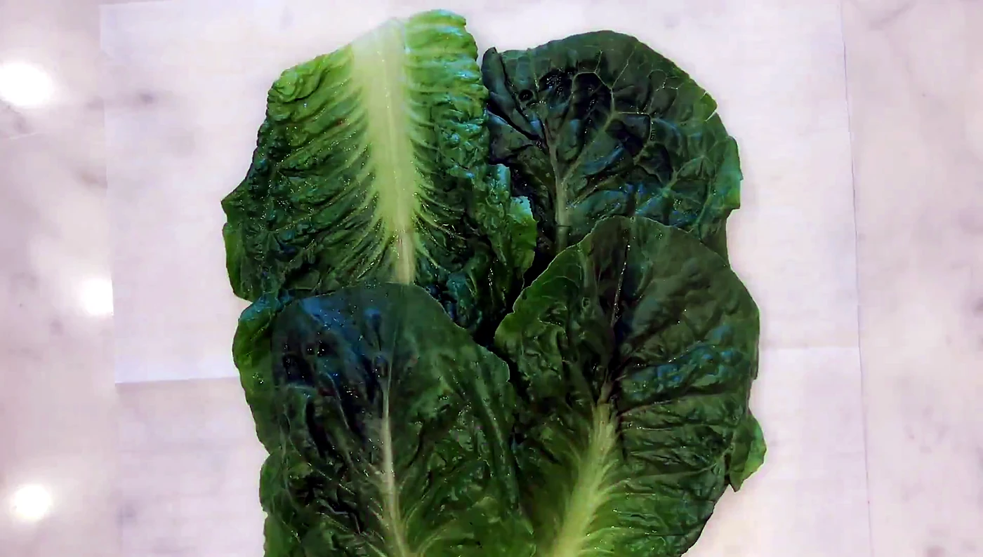 Large lettuce leaf used as the sandwich wrap base