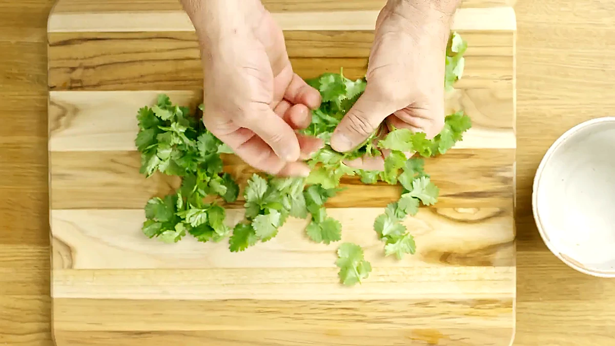 Fresh cilantro leaves pulled from stems